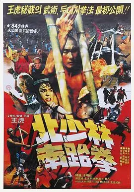 《北少林南跆拳》：功夫喜剧新高度，爆笑演绎另类丈母娘与女婿的爱恨情仇！